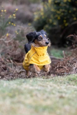 New RUKKA PETS Hayton x raincoat