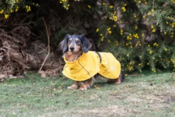 New RUKKA PETS Hayton x raincoat
