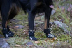 Hot RUKKA PETS Step shoes