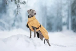 Hot RUKKA PETS Stormy coat