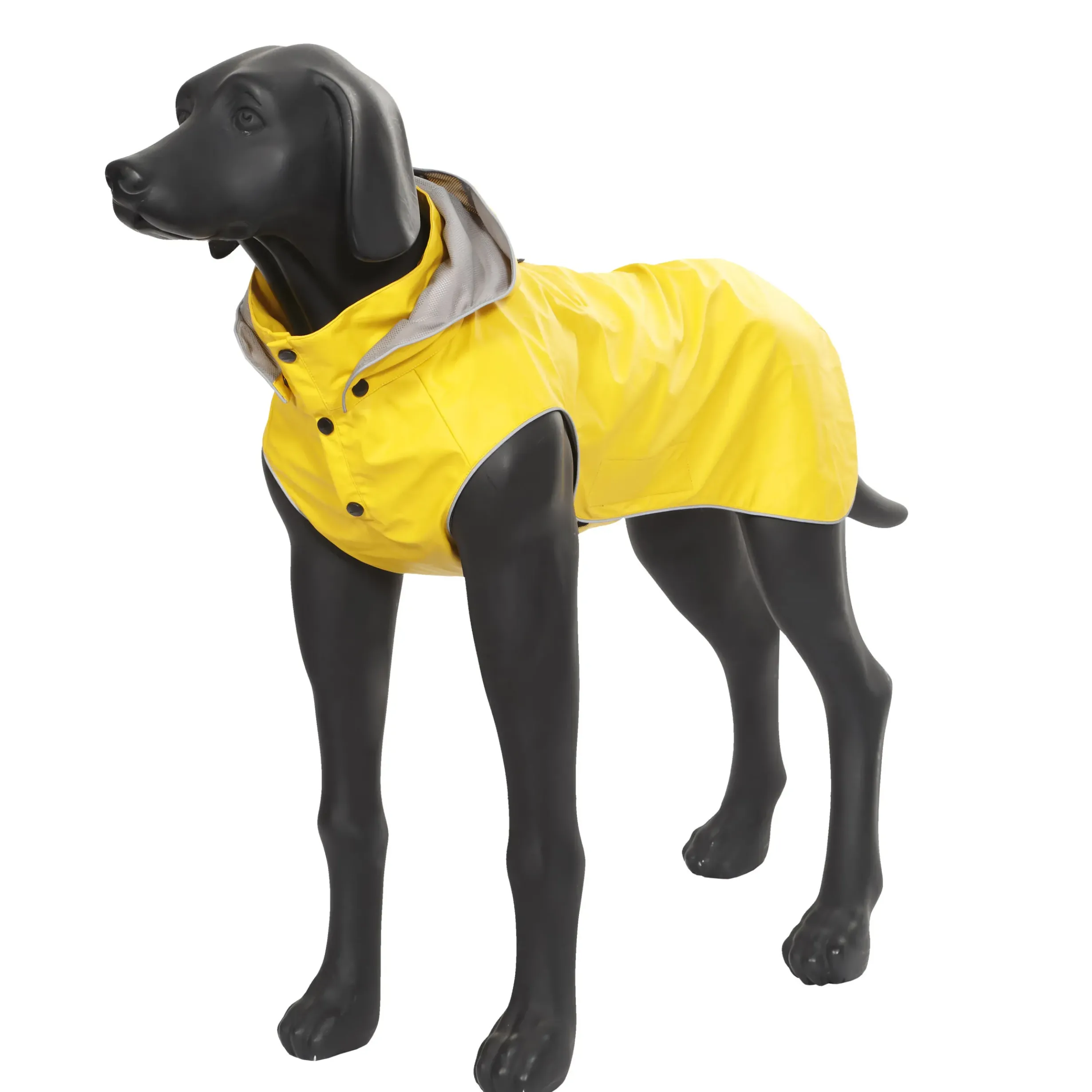 Best RUKKA PETS Stream raincoat