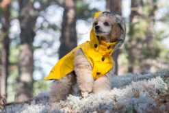 Best RUKKA PETS Stream raincoat
