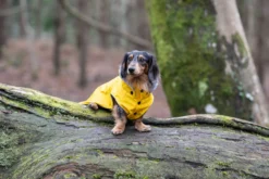 Best RUKKA PETS Stream raincoat