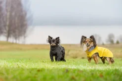 Best RUKKA PETS Stream raincoat