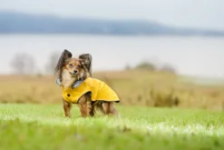 Best RUKKA PETS Stream raincoat