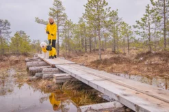 Best RUKKA PETS Stream raincoat
