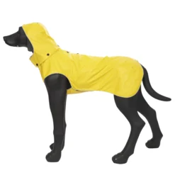Best RUKKA PETS Stream raincoat