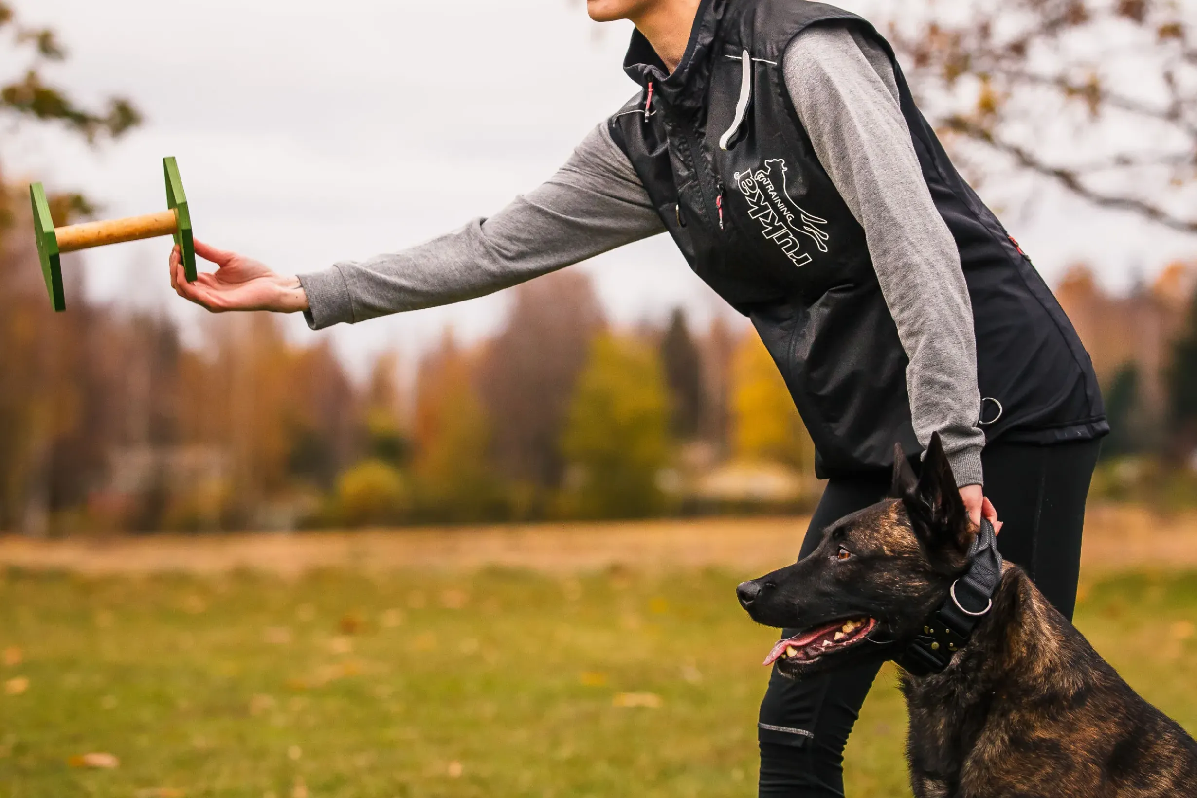 Sale RUKKA PETS Training vet