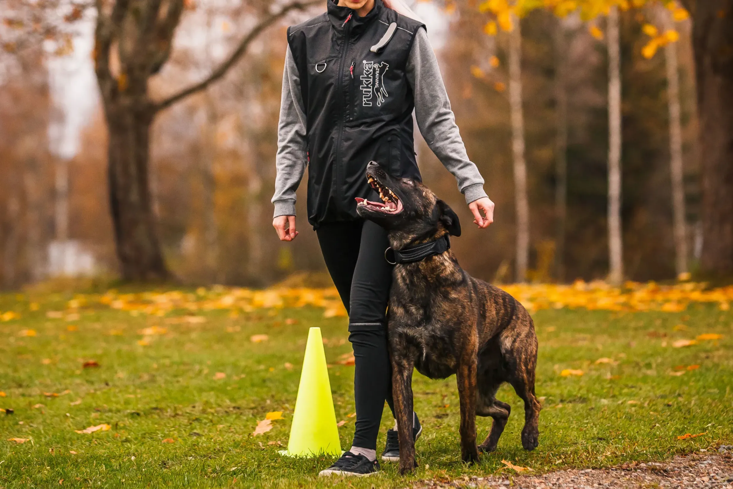 Sale RUKKA PETS Training vet