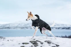 Discount RUKKA PETS Warmup 2.0 coat