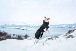 Discount RUKKA PETS Warmup 2.0 coat