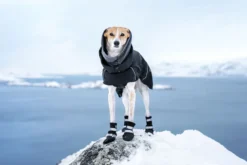 Discount RUKKA PETS Warmup 2.0 coat